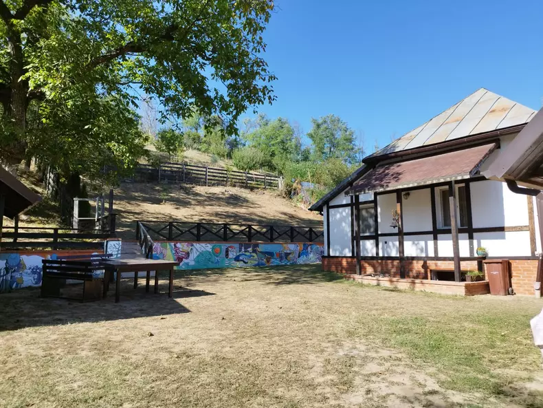 momente de ograda festival arges alin voica (10)