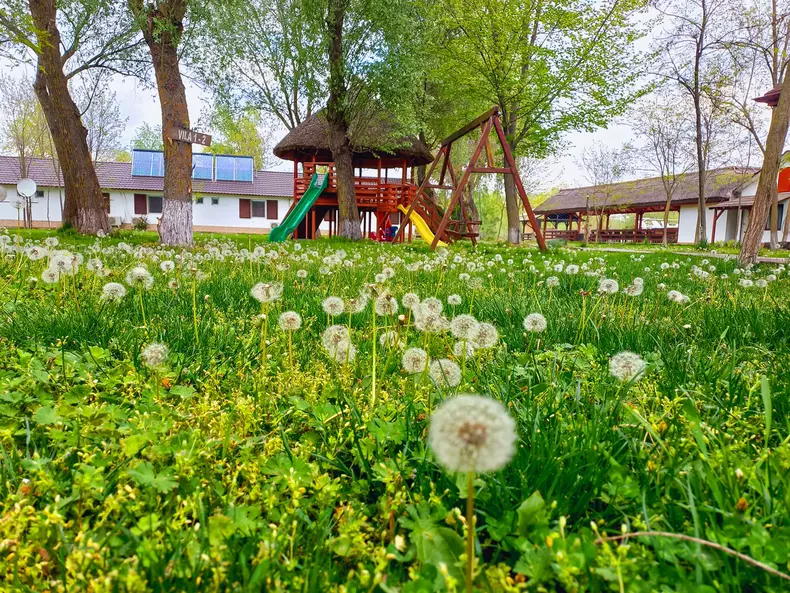 Insula privata si resort Delta Dunarii 04 foto Sothebys Romania