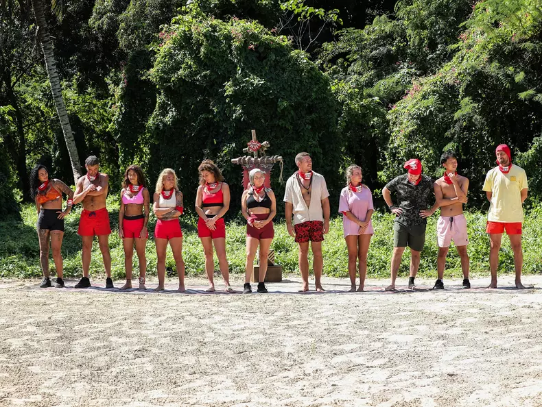 Faimoșii - joc Imunitate