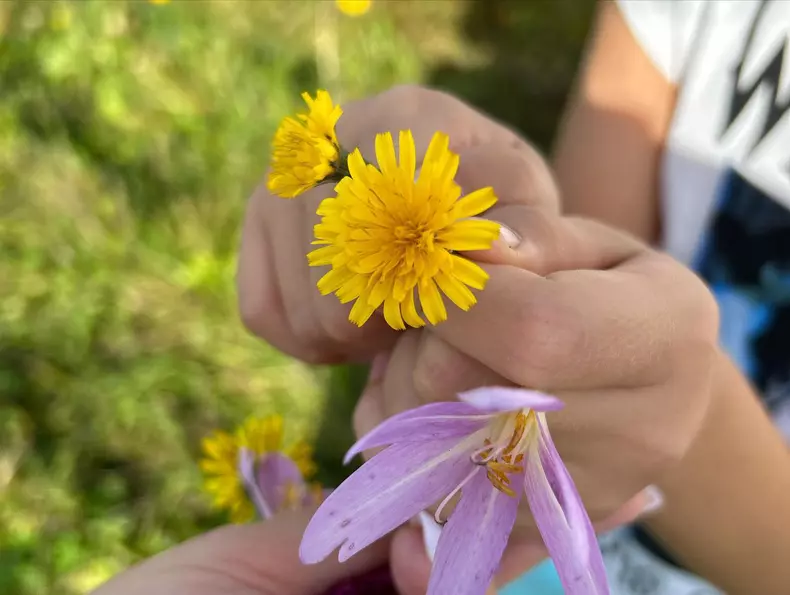 mirela-vaida-vacanta-bucovina-3