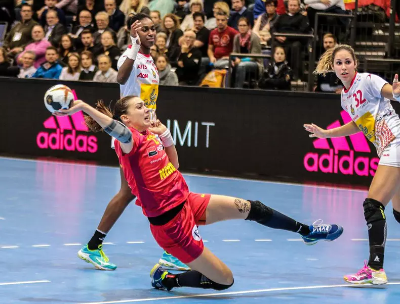 24852467_452592758476169_6081033902968793851_n