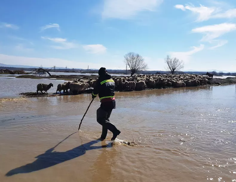 IMG-20180316-WA0002 (1)