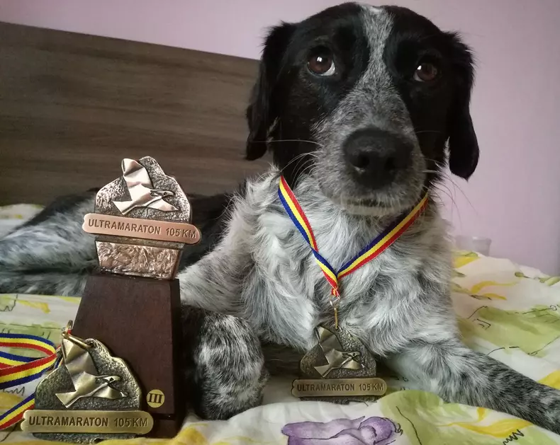ultra premiata