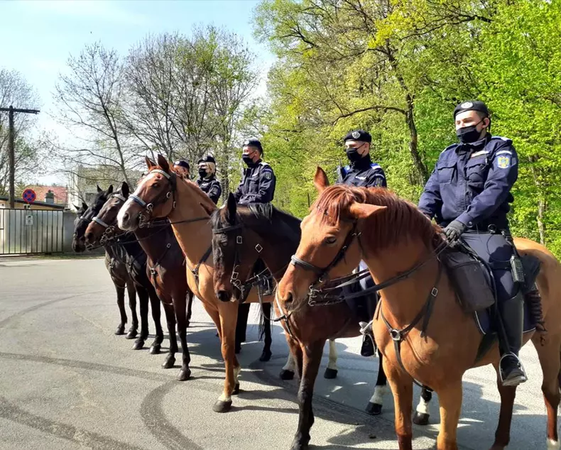 92732667_3095753713808986_2755452301861715968_o