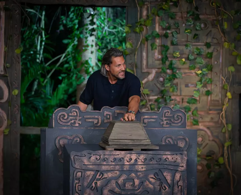 Adi Vasile - licitație