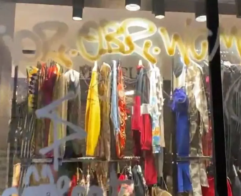 margherita-de-la-clejani-magazin-vandalizat-2