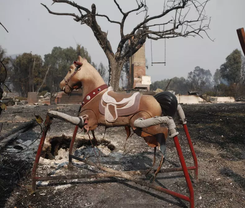 California, urmările incendiilor de vegetație
