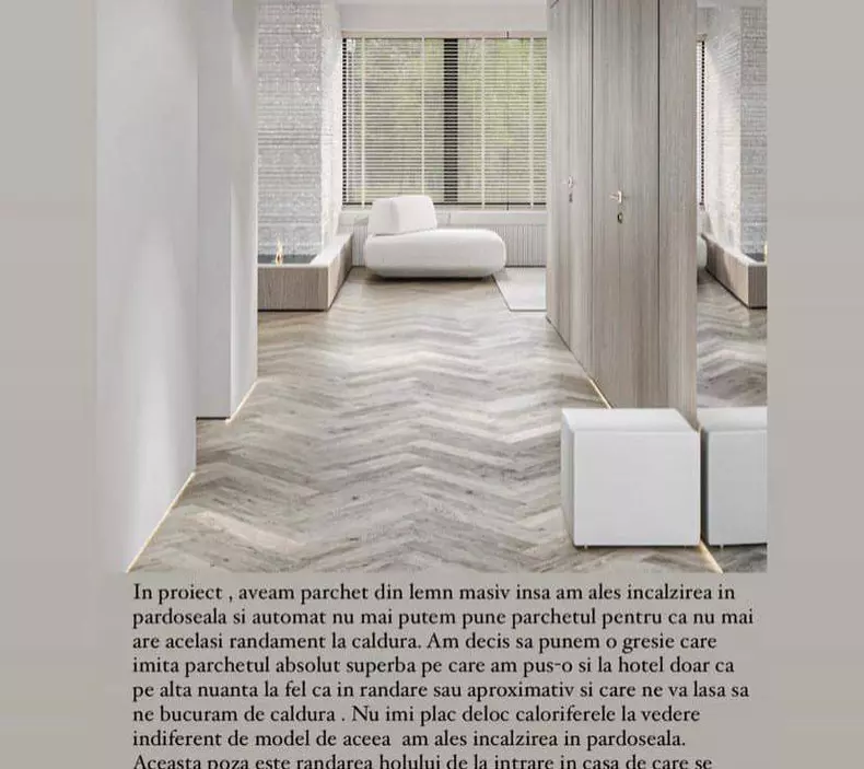 casa-andreea-banica-3