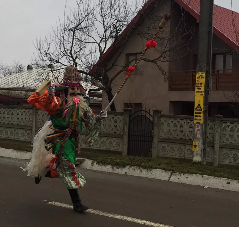 malancile de la ruginoasa in 2017 (1)