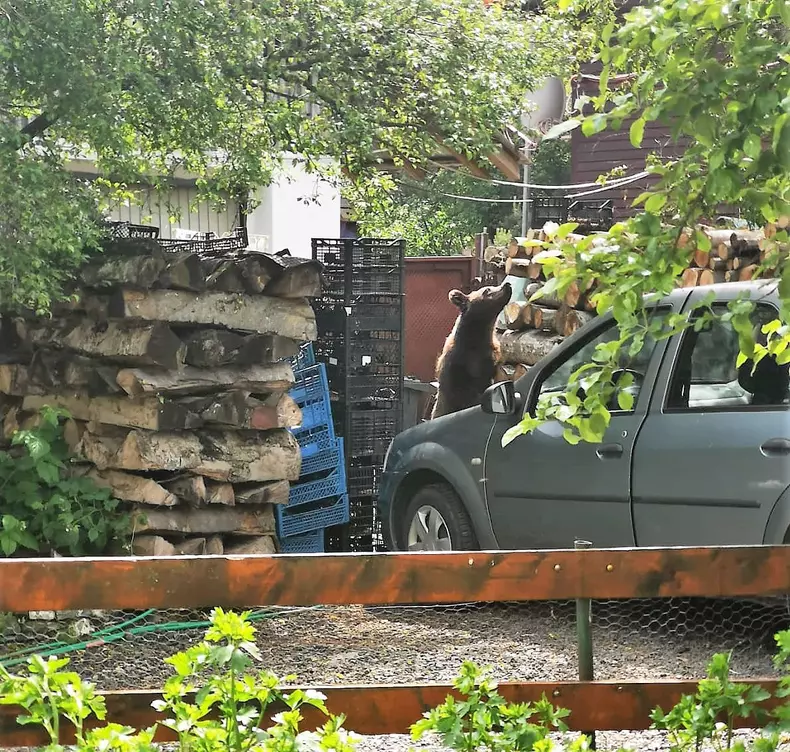 201489666_1140511646449098_5162165775714939135_n