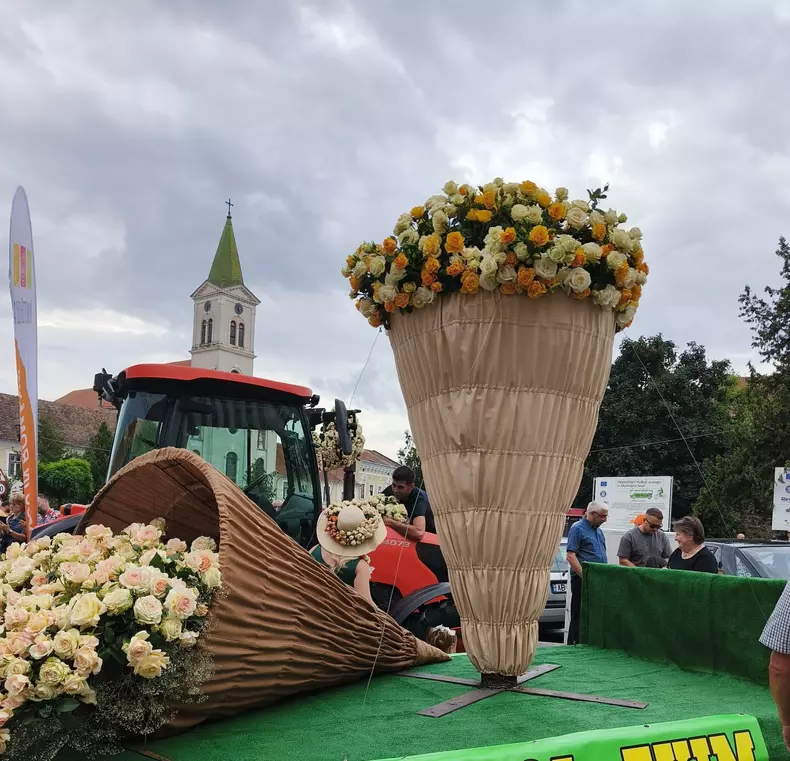 ciumbrud trandafiri5