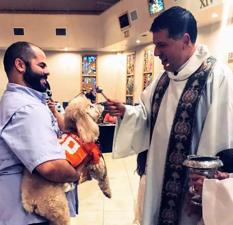 43312562_2272114806196915_8028968217684738048_n