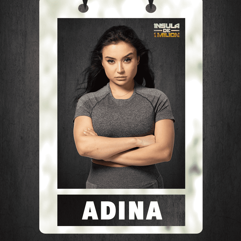ADINA (2)