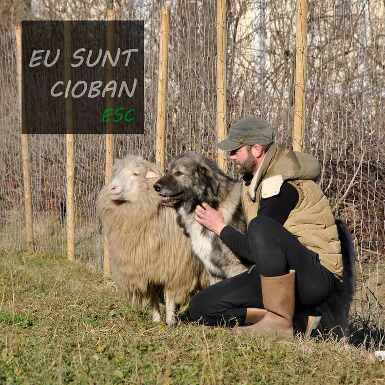 Pasionat de câinii ciobănești