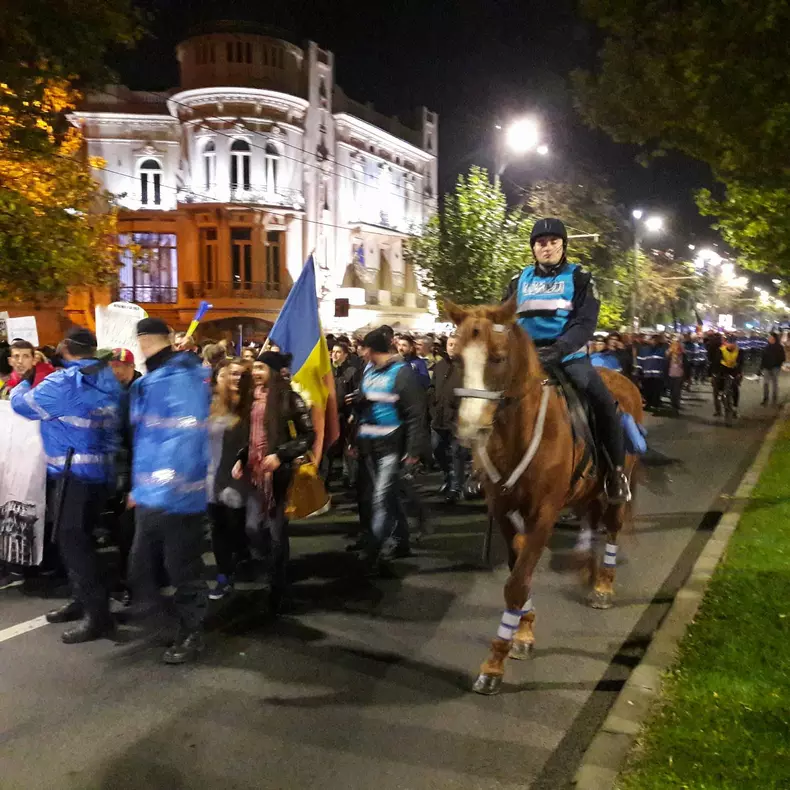 23314430_1496218713787861_612963617_o