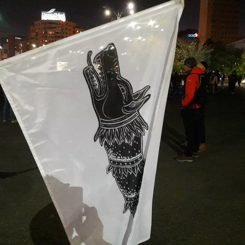 23314464_1496161747126891_1812442543_o