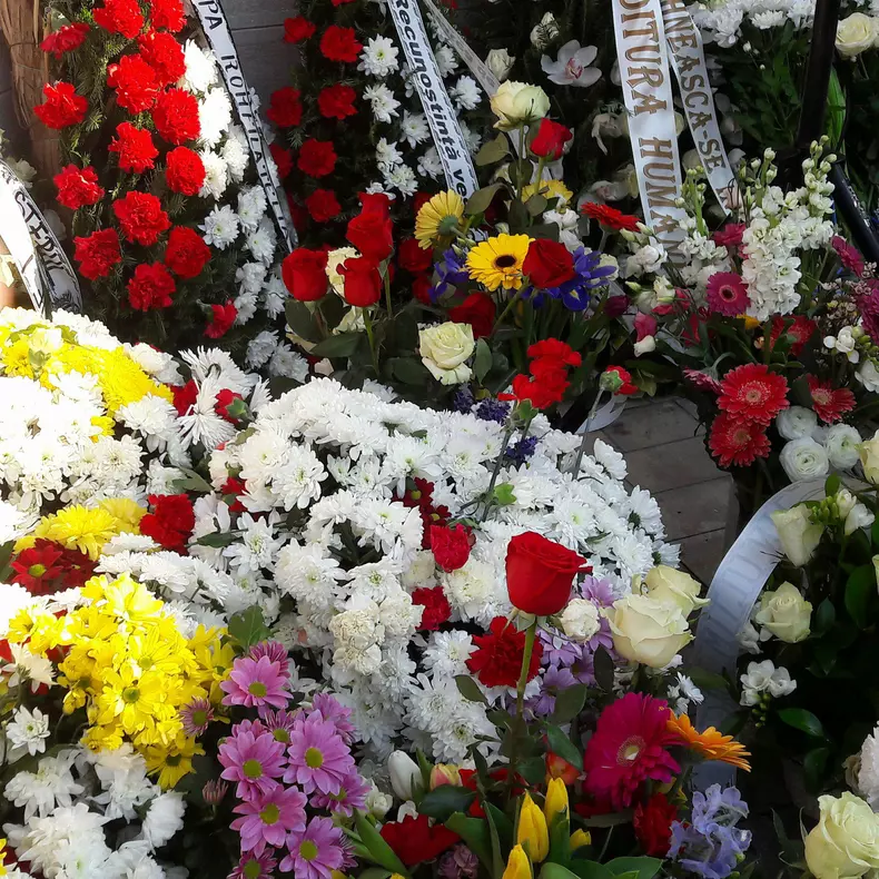 inmormantarea lui Neagu Djuvara (5)