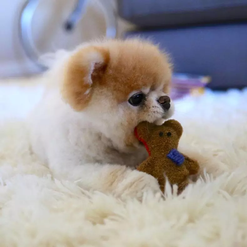 boo4