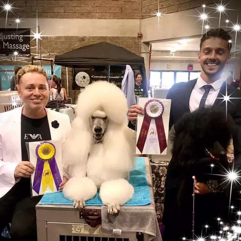 64532059_641321849670350_954941018547945472_o