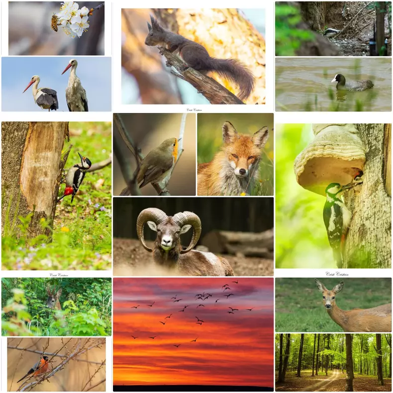 101902475_172680604208965_5663851056308682752_o