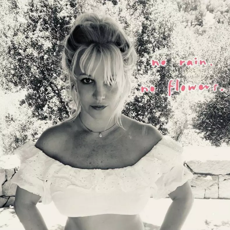 britney spears 39 de ani (4)