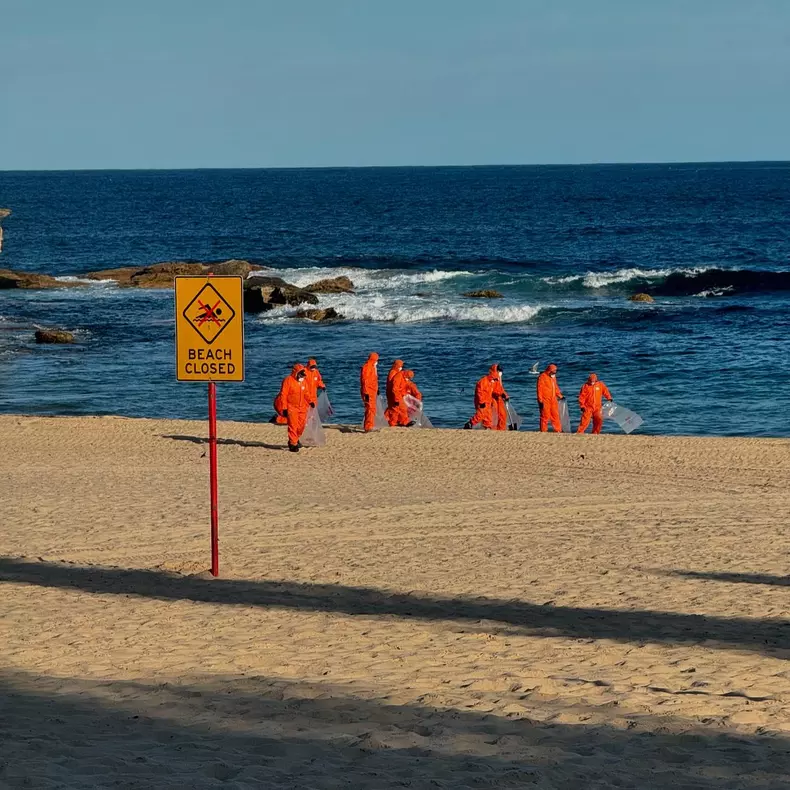 Bile misterioase descoperite pe două plaje din Sydney. Foto Facebook Randwick City Council