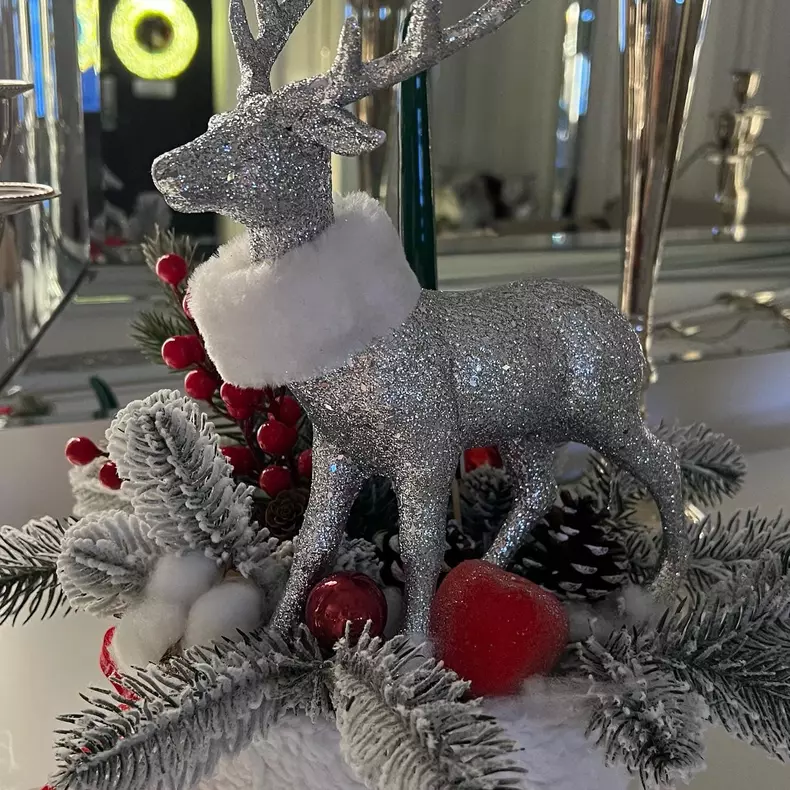 Oana Zăvoranu - casă decorată de Crăciun (5)