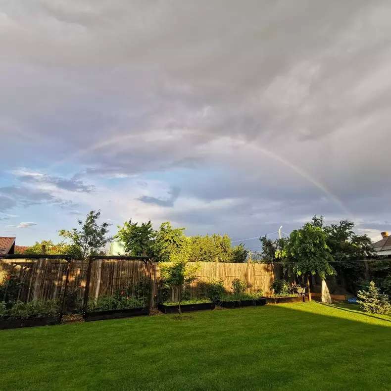 Dan Bordeianu - imagini casă Brănești (12)