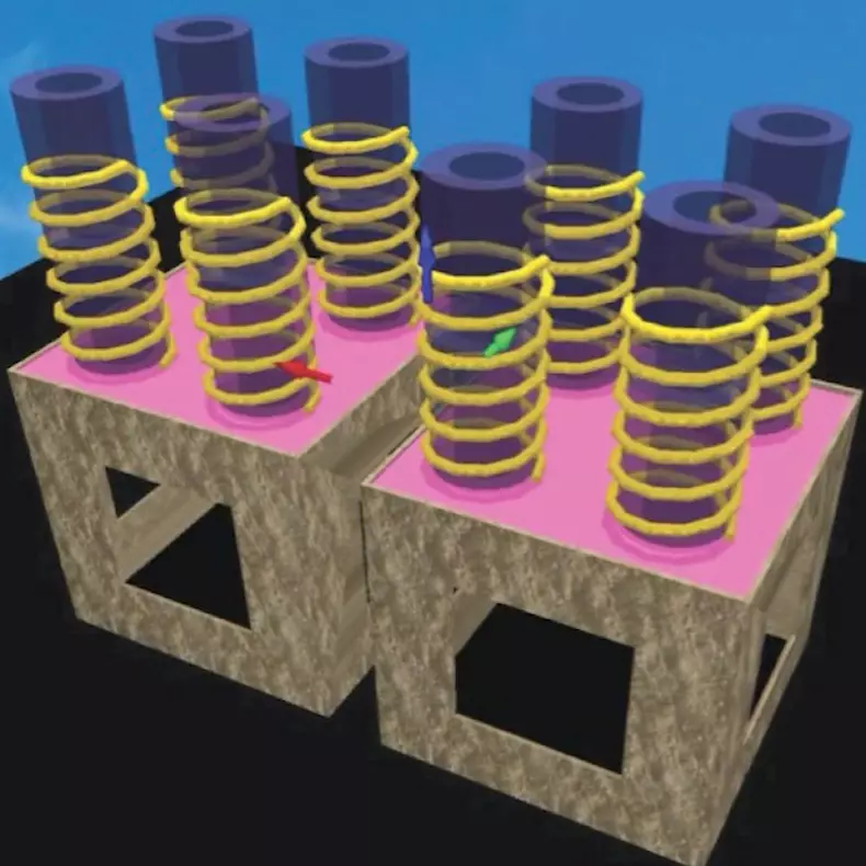 485069064_1299453374984614_1866904606148420461_n