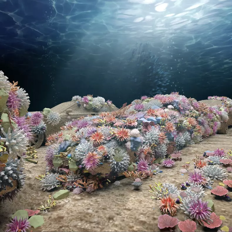 Des voitures en béton seront installées sous l'eau pour contribuer à la régénération du corail sur le littoral de Miami Beach
