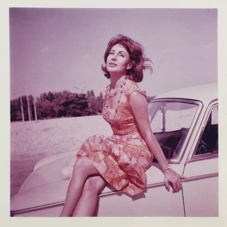 Jurnalul intim al Margăi Barbu este scos la licitație