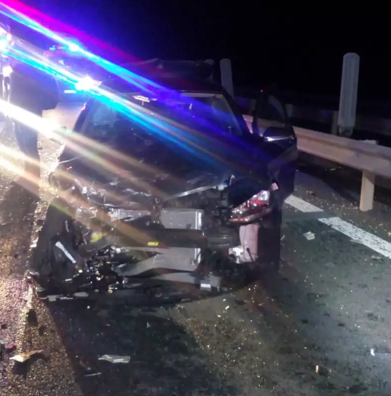 Accident pe autostrada Deva-Nădlac (3)