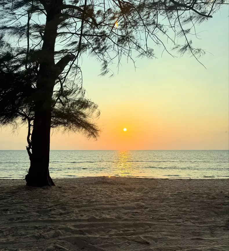 Radu Valcan Insula iubirii 2025 5