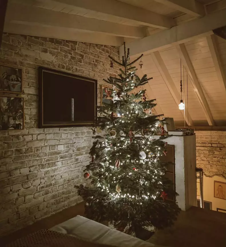 dana rogoz brad de craciun (7)