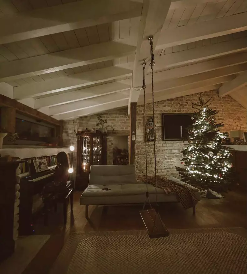 dana rogoz brad de craciun (6)