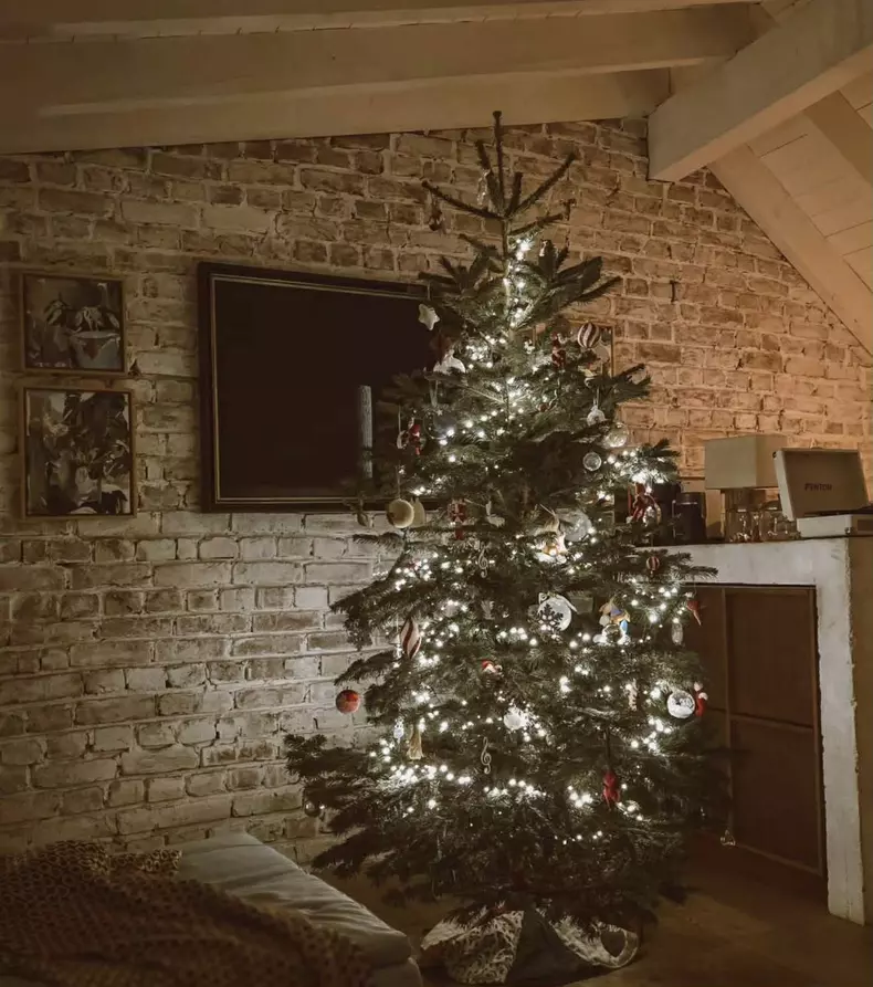 dana rogoz brad de craciun (1)