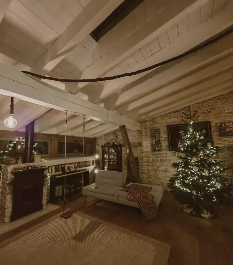 dana rogoz brad de craciun (4)