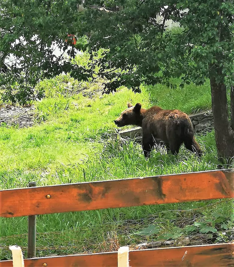 201452182_1140511693115760_4272133366063822577_n