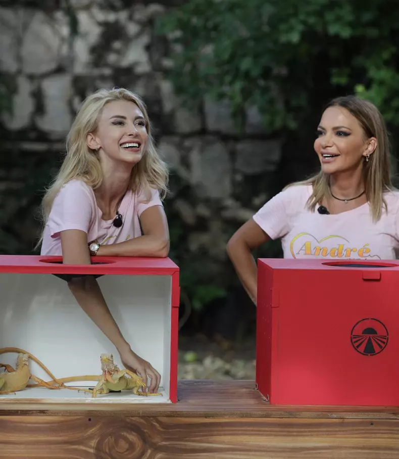 3371552685356266653454851046175478661910117n