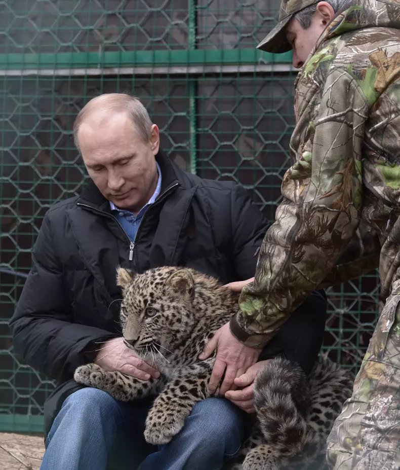 Vladimir_Putin_leopard_EPA_3.jpg