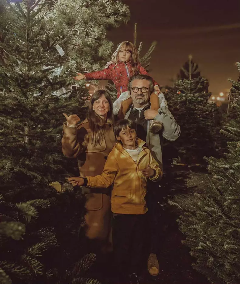 dana rogoz brad de craciun (5)