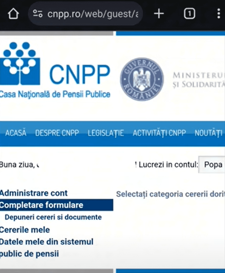 Creare Cont CNPP - Paşii de urmat