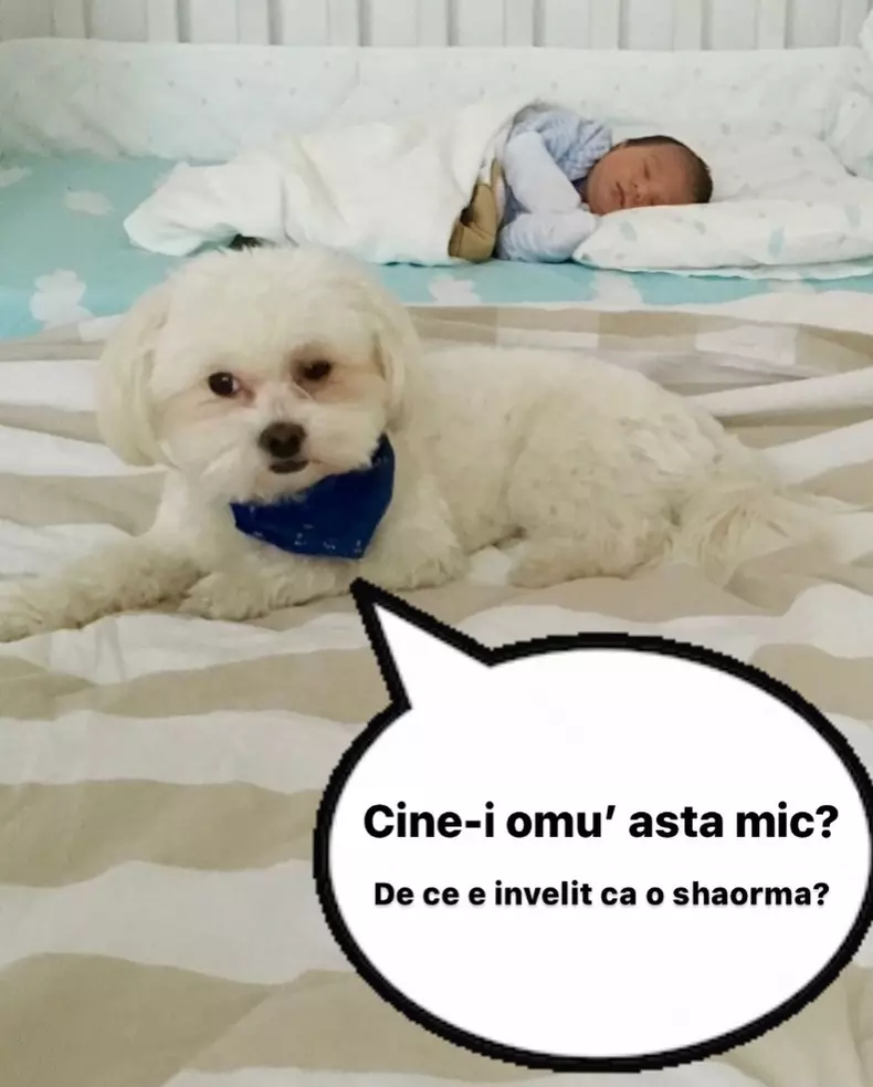 3116979916675838880595294491033353710892724n