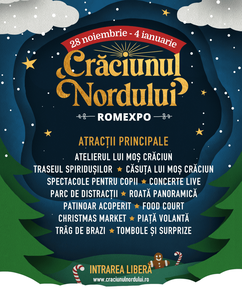 targ craciunul nordului romexpo (2)