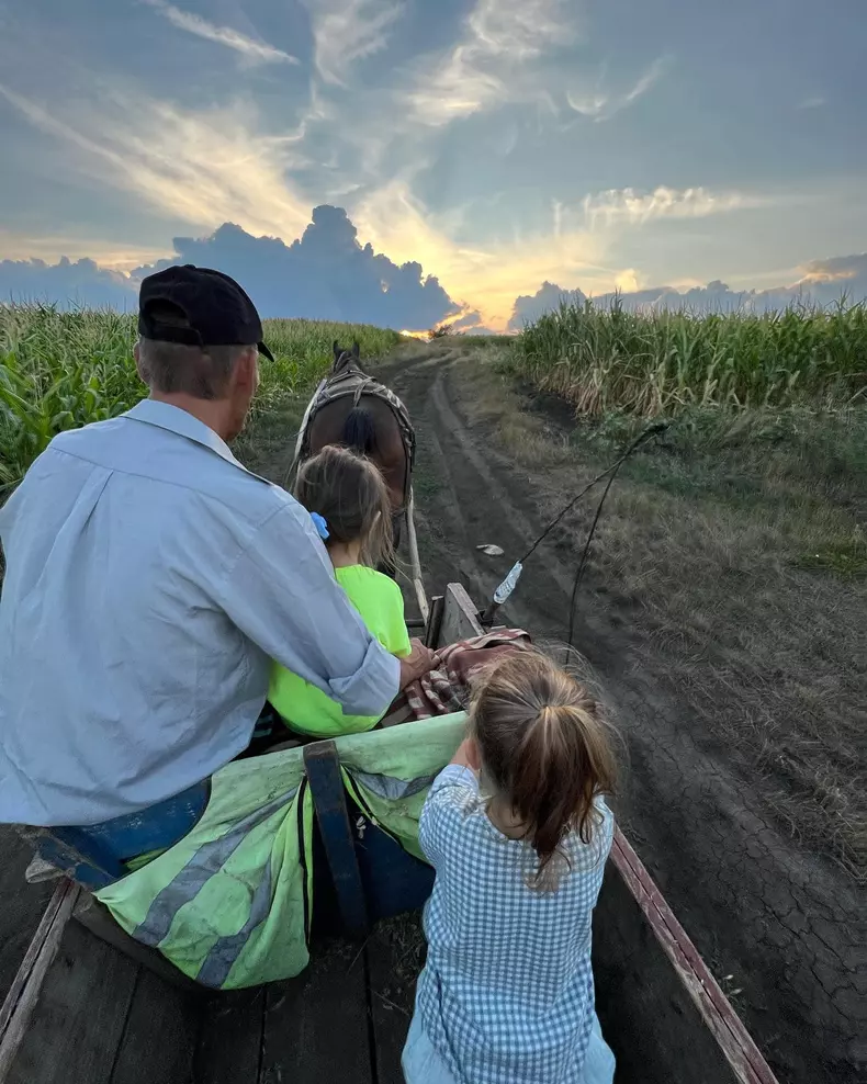 2973726155953519786263664452023905970354511n