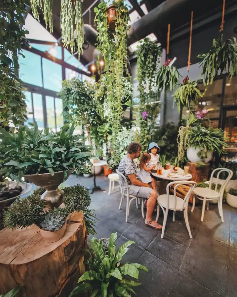 3968806088665588415082218294113667941132370n