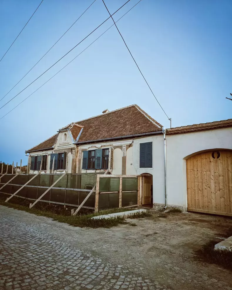 dana rogoz casa viscri 19