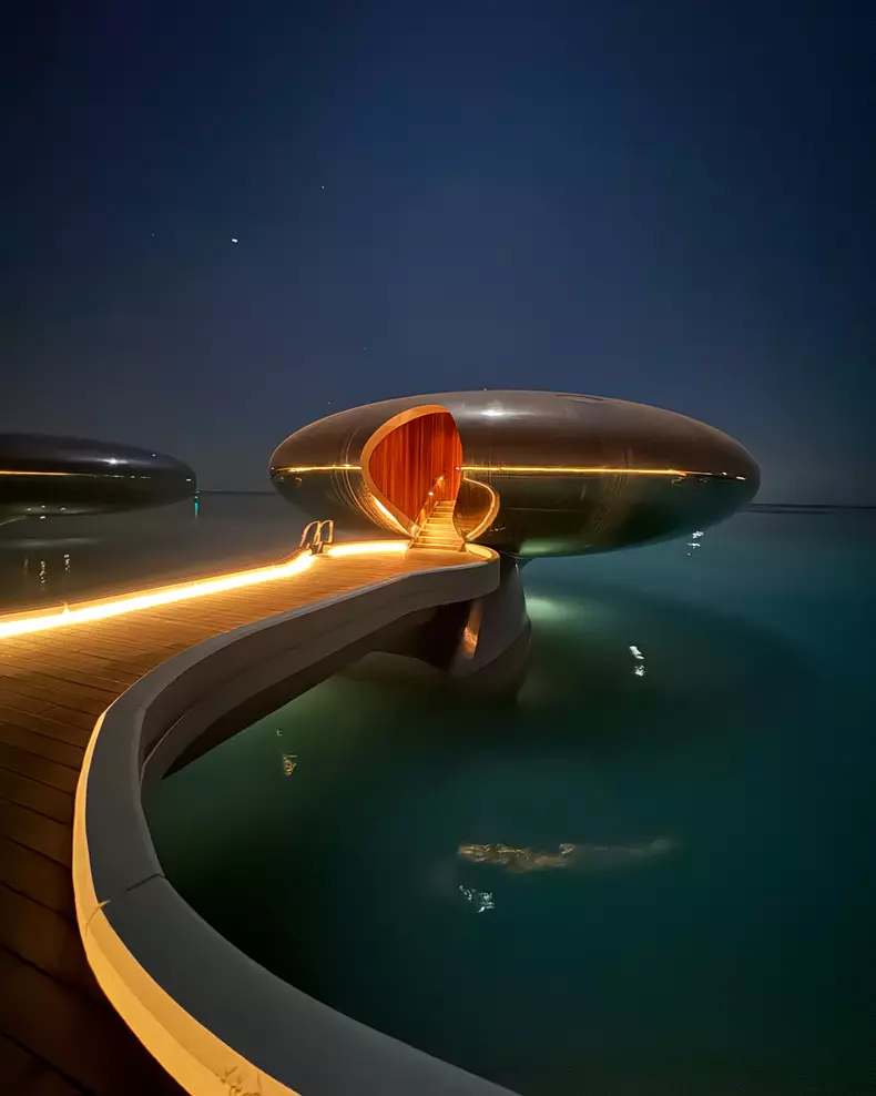 adelina pestritu arabia saudita 14