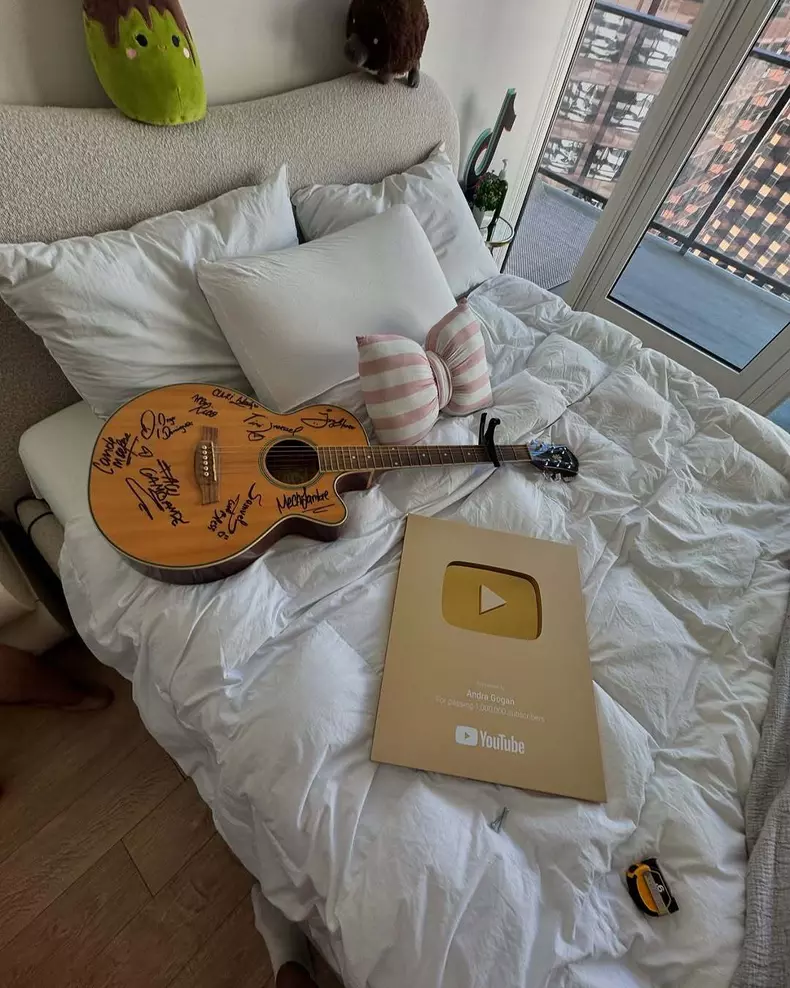 Andra Gogan - imagini apartament (14)