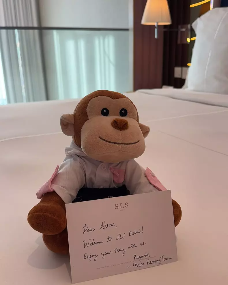 Alexia Eram vacanță Dubai (2)